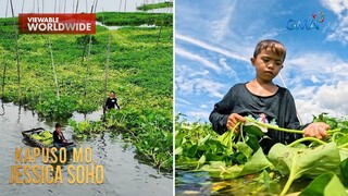 Bata, nangunguha ng kangkong para makatulong sa pamillya | Kapuso Mo, Jessica Soho