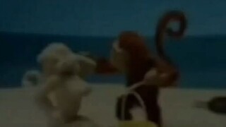 Cuma Monyet Biasa Kok 🐒