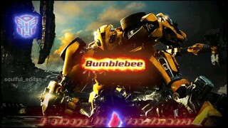 Bumblebee✌