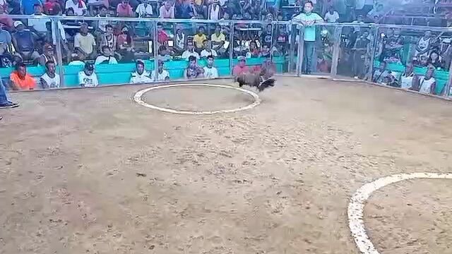 dumayo pa si noks win po tayo