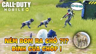 REVIEW TÍNH NĂNG "BOM CHÓ" CỰC BÁ ĐẠO TRONG CALL OF DUTY MOBILE CHINA, JOHN WICK HATES THIS !