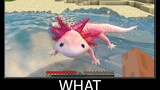 Minecraft รออะไร meme part 67 minecraft ที่เหมือนจริง axolotl
