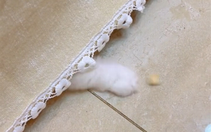 Tukang kecil ini agak pemilih juga.