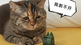Hari ini aku makan pangsit nasi kucing yang tidak perlu