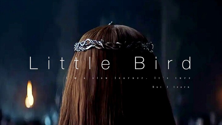 [Game of Thrones Mashup | Sansa Stark I] The Queen in the North