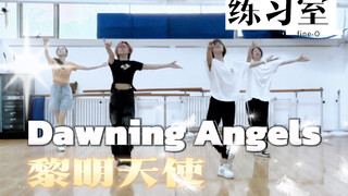 fine-O Dawning Angels  | 黎明天使练习室存档