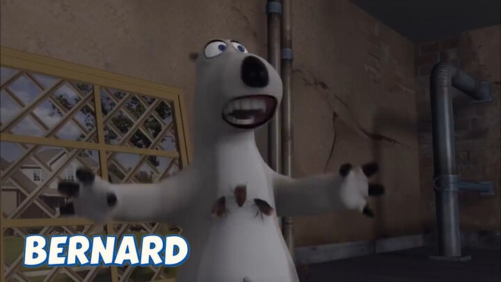 BERNARD BEAR || THE FUMIGATOR - CARTOON CHILDREN