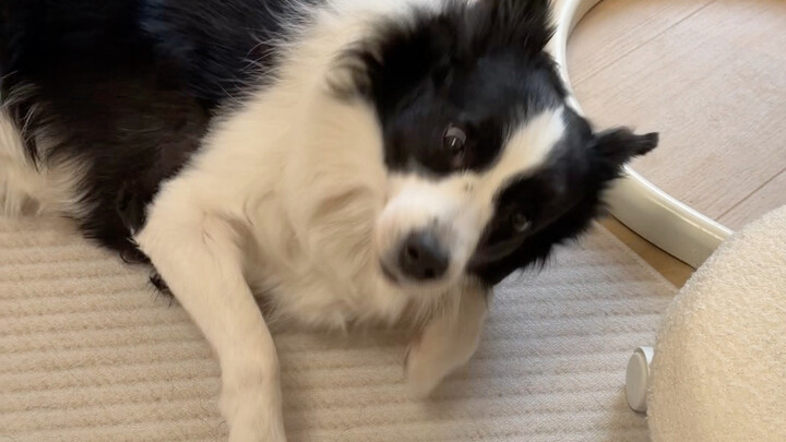 السبب في خلاف الأبناء هذه المرة هو أن المعجبين يفتقرون إلى الأخلاق…