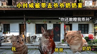 Saat aku masih kecil, aku dibawa ke rumah kakek-nenekku.