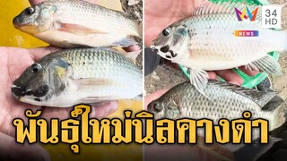 รู้ยัง? หมอคางดำยังไม่ตาย เจอตัวใหม่ 'นิลคางดำ' | ข่าวอรุณอมรินทร์ | 31/7/67