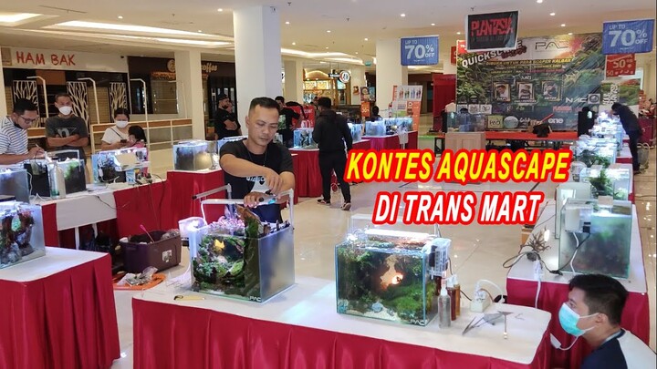 Kontes Aquascape di Mall Transmart Kubu Raya