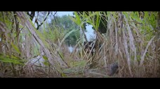 Punjab Hoang Dã Full Movie [Sub Việt]