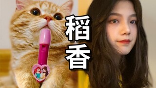 【稻香】B站最懂乐器的猫和甜美小姐姐翻唱周董经典歌曲，是种怎样的体验？