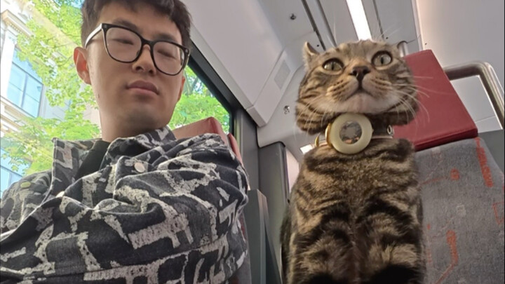 Taking My Tabby Cat Around the World: Stop 10 - Helsinki, Finland