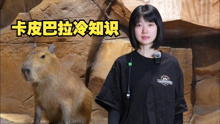 ทำไมคาปิบาราถึงมีเพื่อนเยอะ?