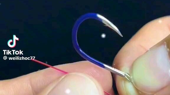 Wed, 18 September  2024