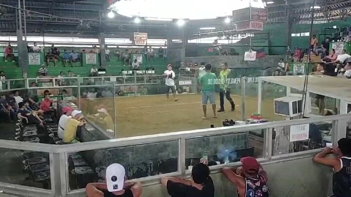 2x Derby winner Gold, 4 cock derby Segundo Lim Tagbilaran Vs. Baba Yap