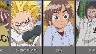 All One Piece Character Part 5