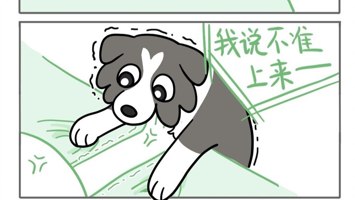 Đậu phộng, mặt dày vô đối