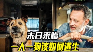 世界末日来临，一人一狗该如何死里逃生，剧情片