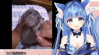 [Kokoro Roni] Japanese water elves watch "Disasters are always several steps behind me!"