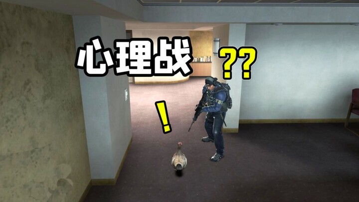 الدجاجة: أنت تتظاهر بشكل مقنع جدًا، وخدعت الجميع.