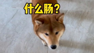 Mom's Big Son (Electric Fan Dog)