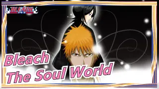 [Bleach] Funny Edit Of The Soul World