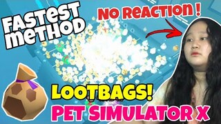 FASTEST METHOD *LOOT BAGS* | CHRISTMAS UPDATE IN PET SIMULATOR X (Roblox Tagalog)