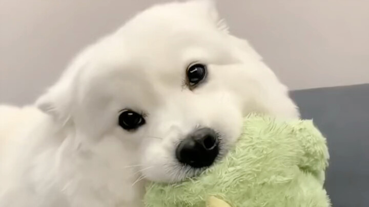 มีแต่คนน่ารักเท่านั้นถึงจะเห็นวิดีโอนี้ได้