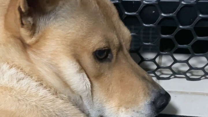 นี่นะ ดูเกร็งไปหน่อยเลย