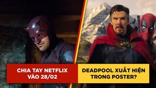 Phê Phim News: Toàn bộ SERIES MARVEL rời NETFLIX | RYAN REYNOLDS có tham gia DOCTOR STRANGE 2?