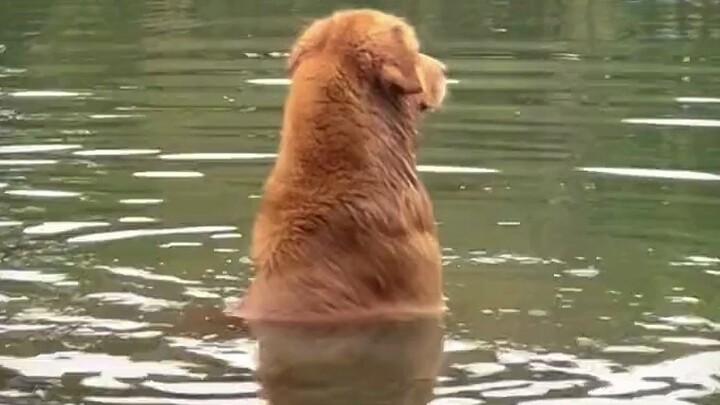 Halfway through swimming, I saw a quarrel on the other side