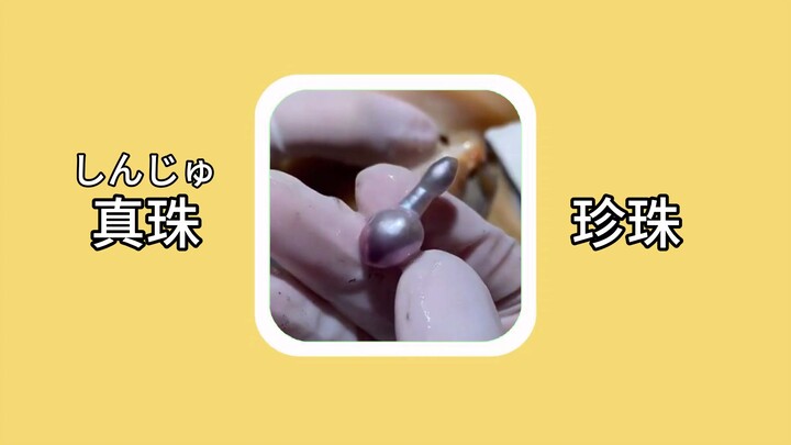 【คำศัพท์ภาษาญี่ปุ่น】真珠（しんじゅ）：ไข่มุก