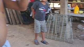 paikulan gamefarm