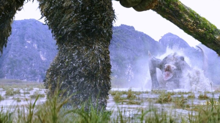 The biggest difference between primates and other animals is their ability to use tools.