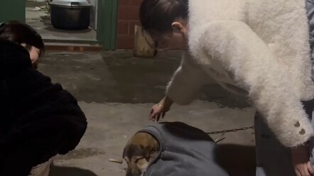 Even dogs have people who love them, but “lick dogs” don’t.