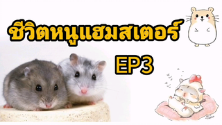 ชีวิตหนูแฮมสเตอร์ ep3 หนูชอบหมวกตัวนี้มาก