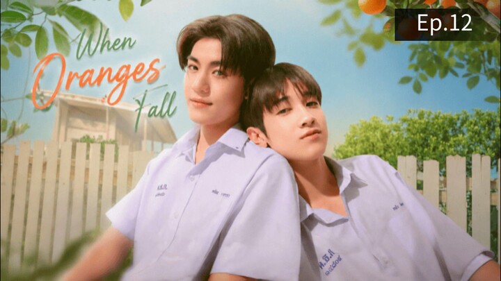 when oranges fall Ep.12 (ตอนจบ)