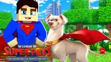Minecraft - Who's Your Family? A FAMÃ�LIA DE KRYPTO O SUPER CÃƒO de SUPERMAN  !