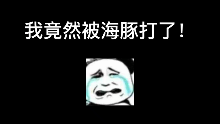 我竟然被海豚打了！结结实实的一尾巴。。T﹏T