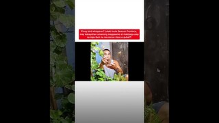 Pinoy bird whisperer, may kakayahang magpaamo at makipag-usap sa mga ibon? | Kapuso Mo, Jessica Soho