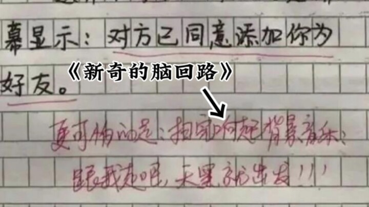 《独特的脑回路》