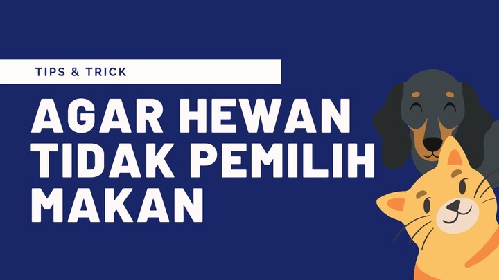 Tips Agar Hewan Tidak Pemilih Makan