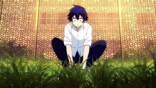 nisekoi amv closer