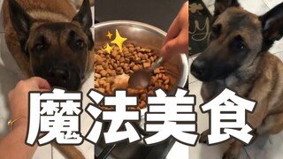 ลูกสุนัขที่โดนหลอกง่ายมาก!! แทบจะเอาชนะเธอไม่ได้เลย!!