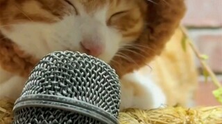 Likely a genuine evil spirit performance