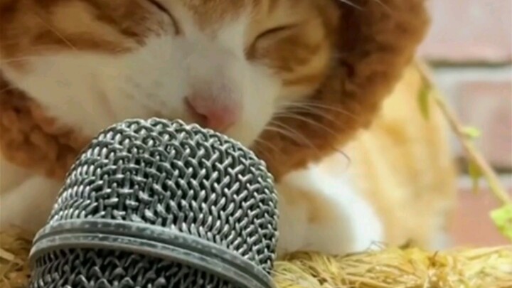 น่าจะเป็นการแสดงตามนิสัยเดิมของวิญญาณชั่วร้าย