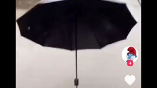 外国人看中国人下雨天出来遛伞，没人发现是狗提线原理（评论翻译）