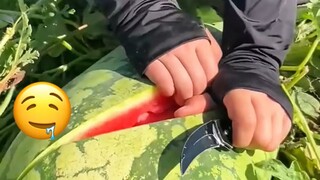Video giải tỏa căng thẳng hôm nay: Hiện trường làm việc đáng kinh ngạc! 12.12